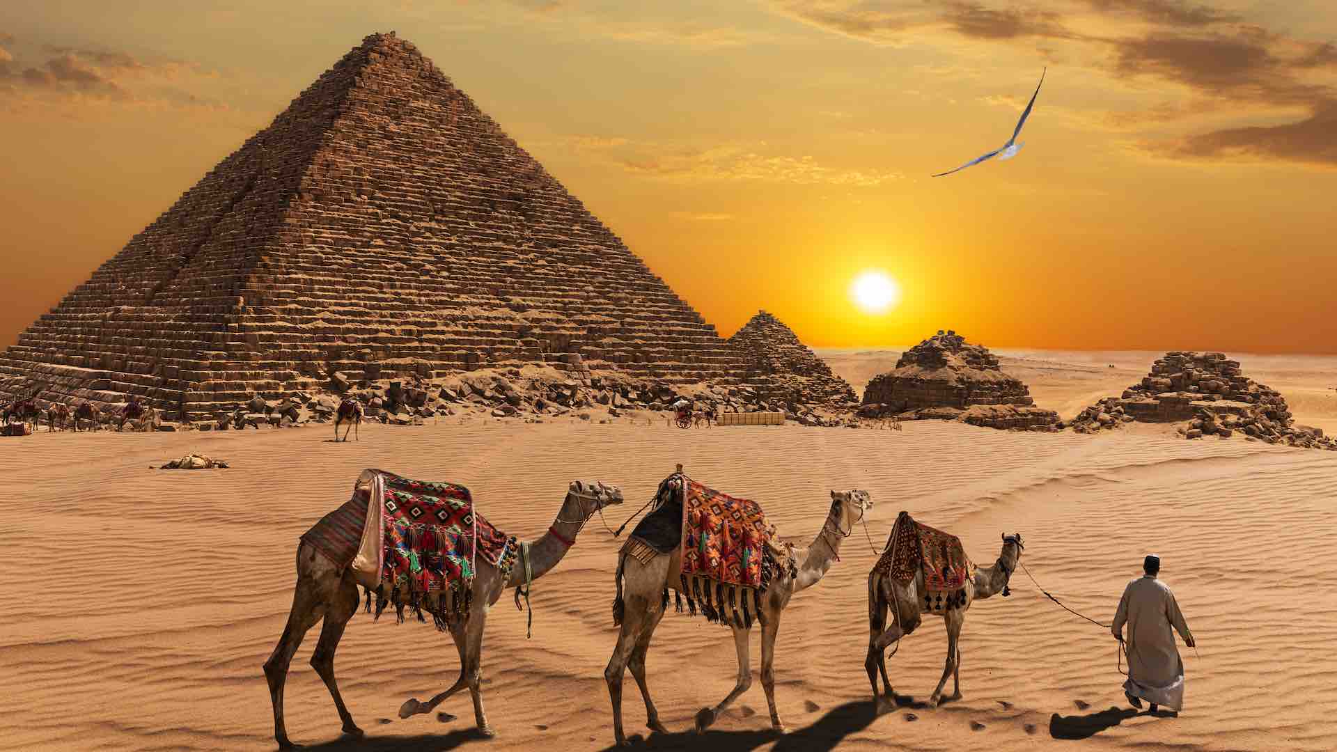 Egypt welcomes 15.7 million tourists in 2024 despite regional challenges