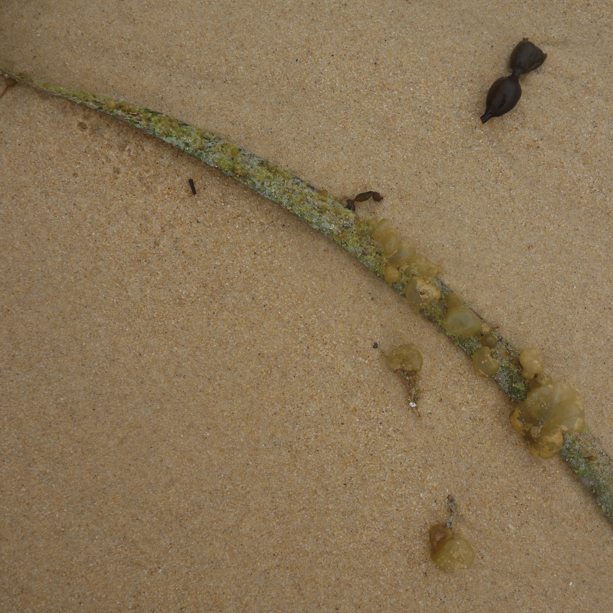 FB3465B5-E9BD-477F-887E-859ECC879792