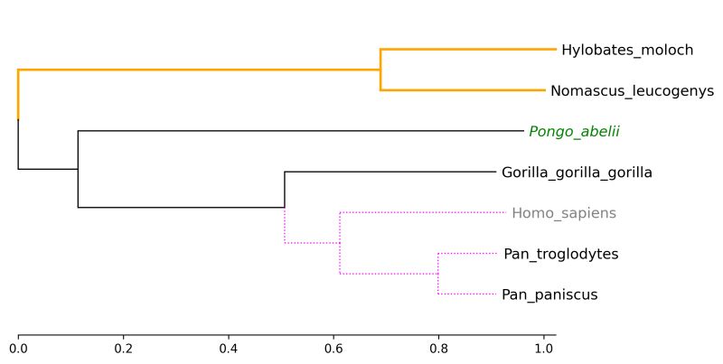 Github Moshi4 Phytreeviz Simple Phylogenetic Tree Visualization - Gorgeous High Resolution Colorful Patterns | Free Download