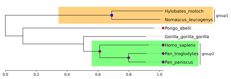 Github Moshi4 Phytreeviz Simple Phylogenetic Tree Visualization - Best Colorful Textures in Full HD