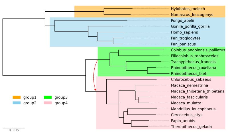 Github Moshi4 Phytreeviz Simple Phylogenetic Tree Visualization - Download Classic Colorful Wallpaper | Ultra HD