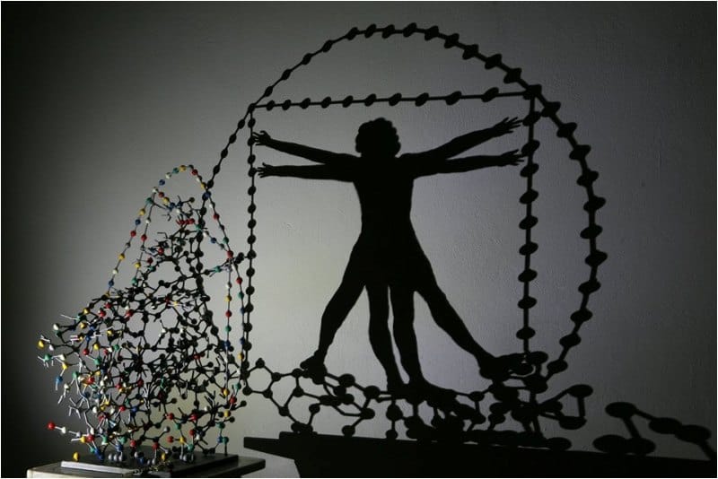 Shadow Art Taken to the Next Level | Moss and Fog