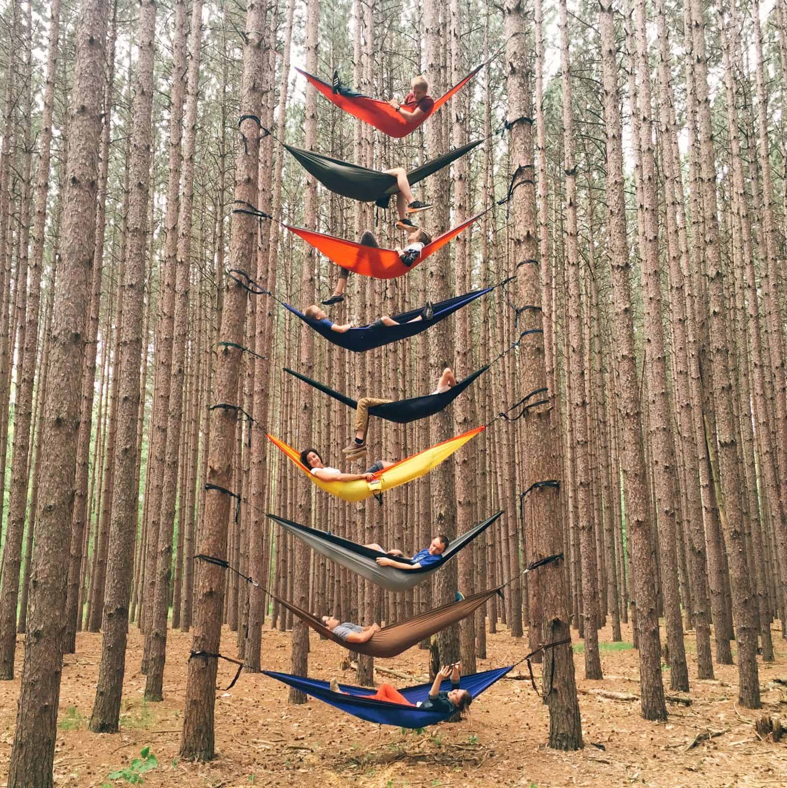 hammock3.5