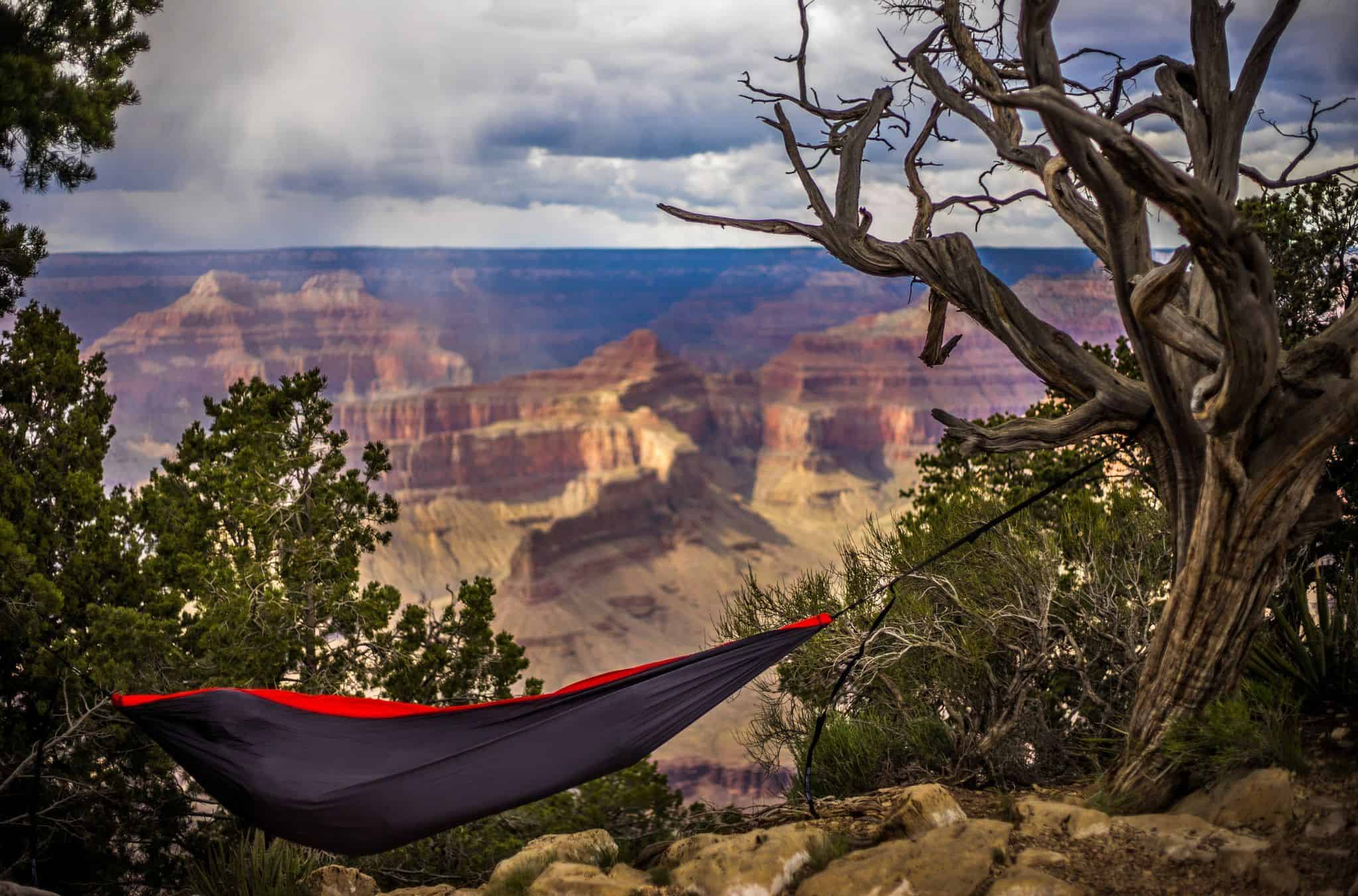 hammock3