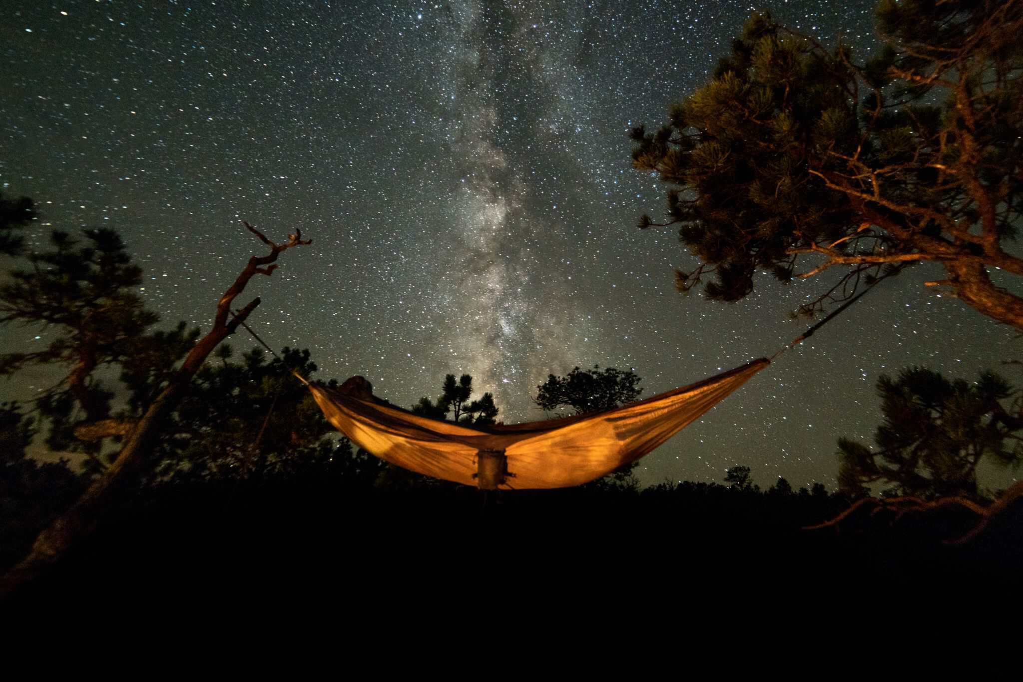 hammock5