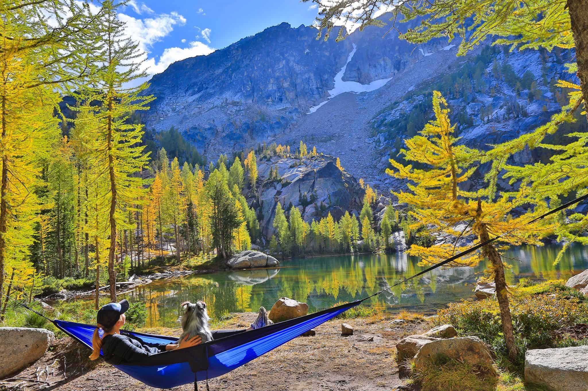hammock7
