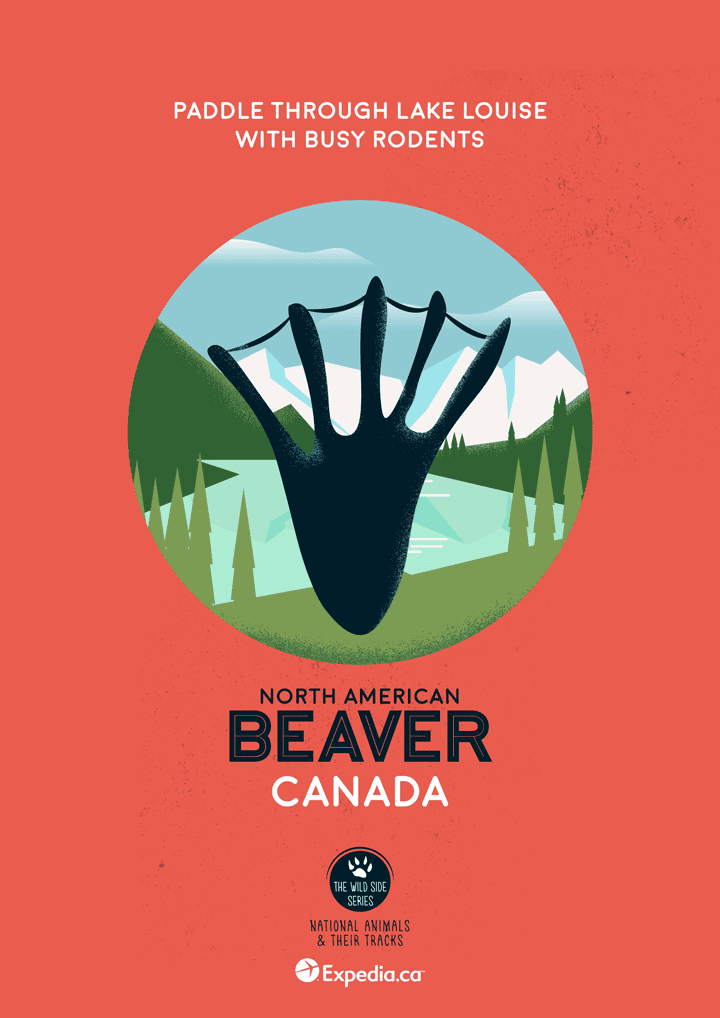 WildSideSeries__02_Beaver