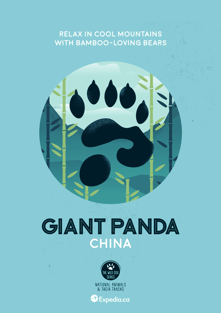 WildSideSeries__03_Panda