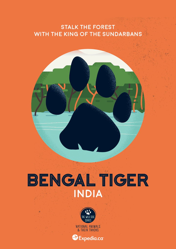 WildSideSeries__04_Tiger