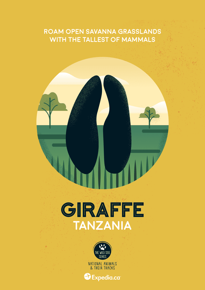 WildSideSeries__06_Giraffe