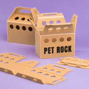 Pet Rock Collector’s Box