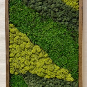 Mystic Moss