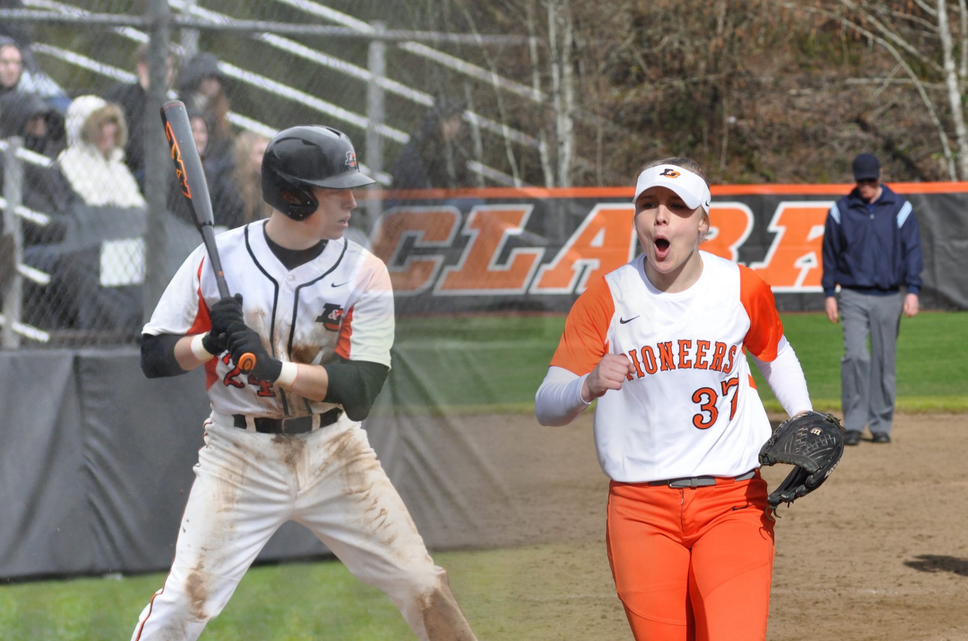 BaseballSoftball_Comp