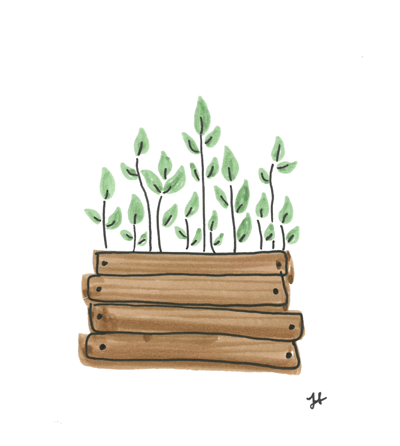 PlanterBoxes copy