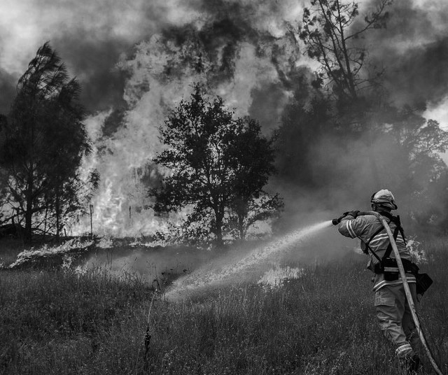 firearticle