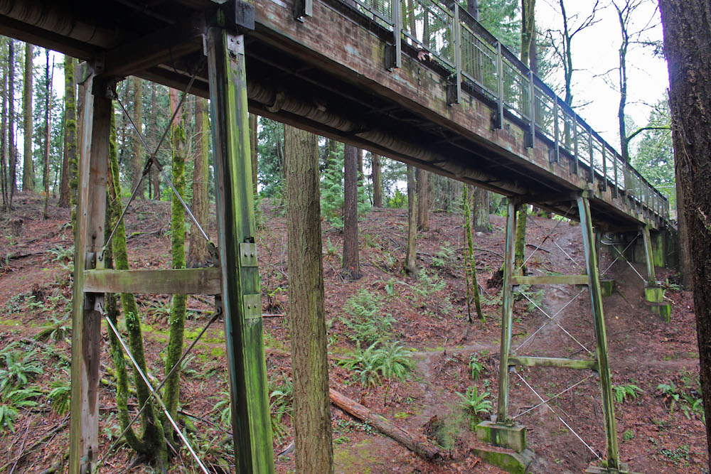 Bridge