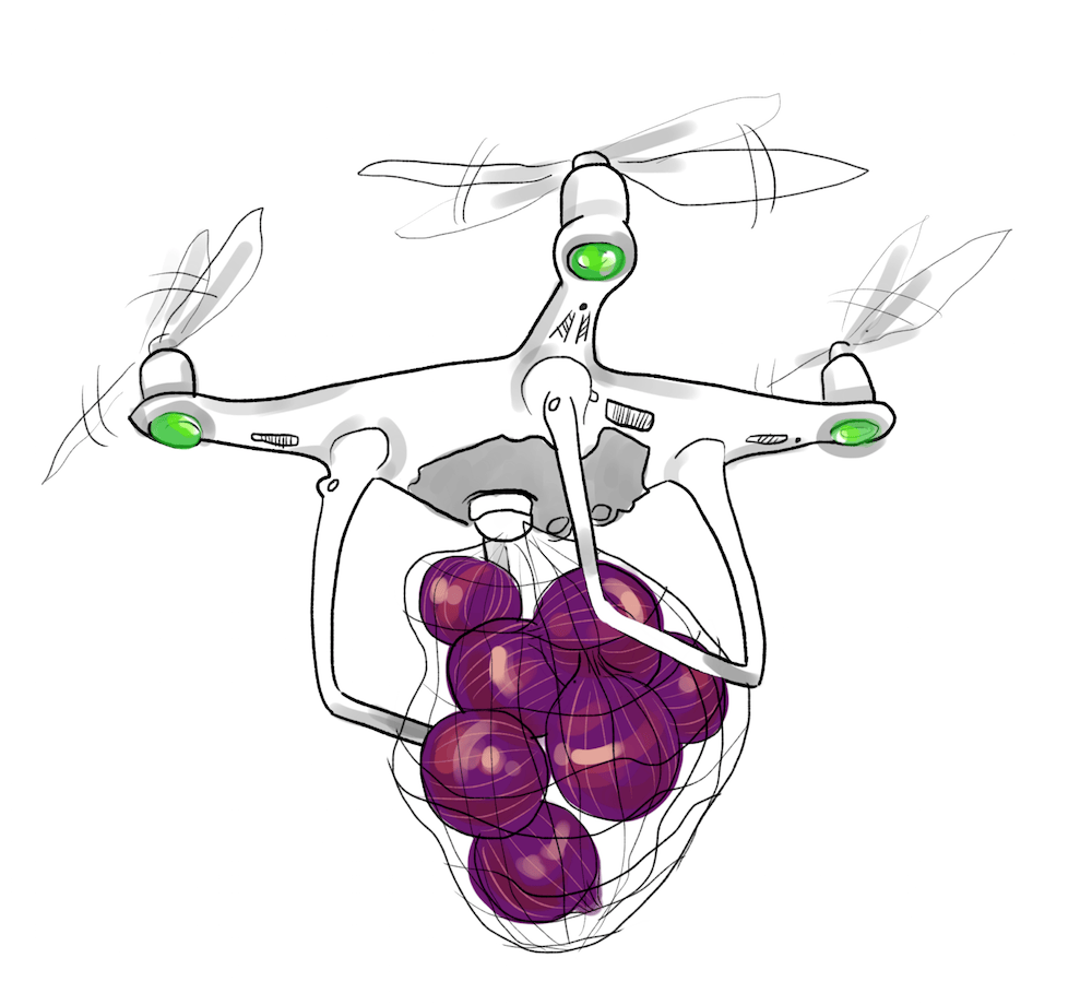 drone_RAYA