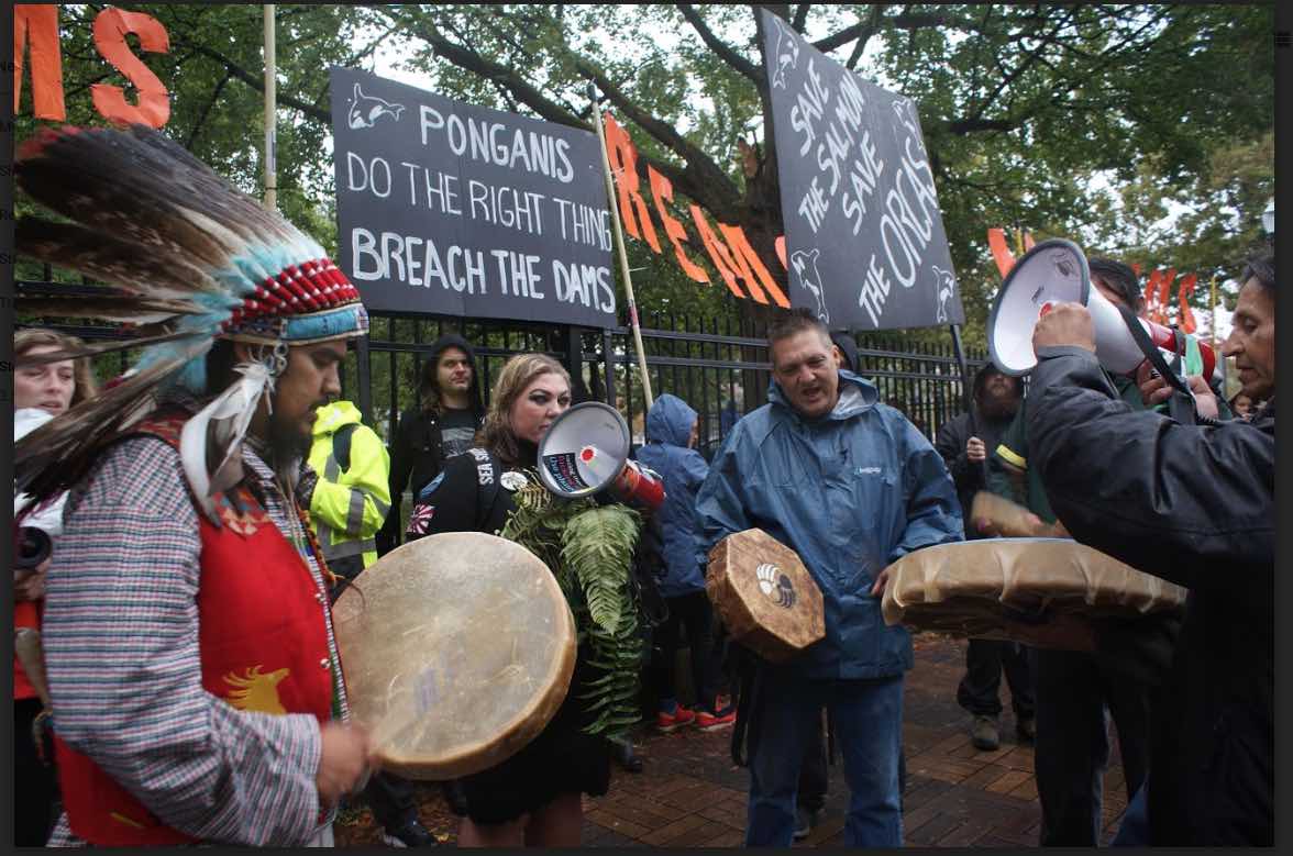 ORCA RALLY