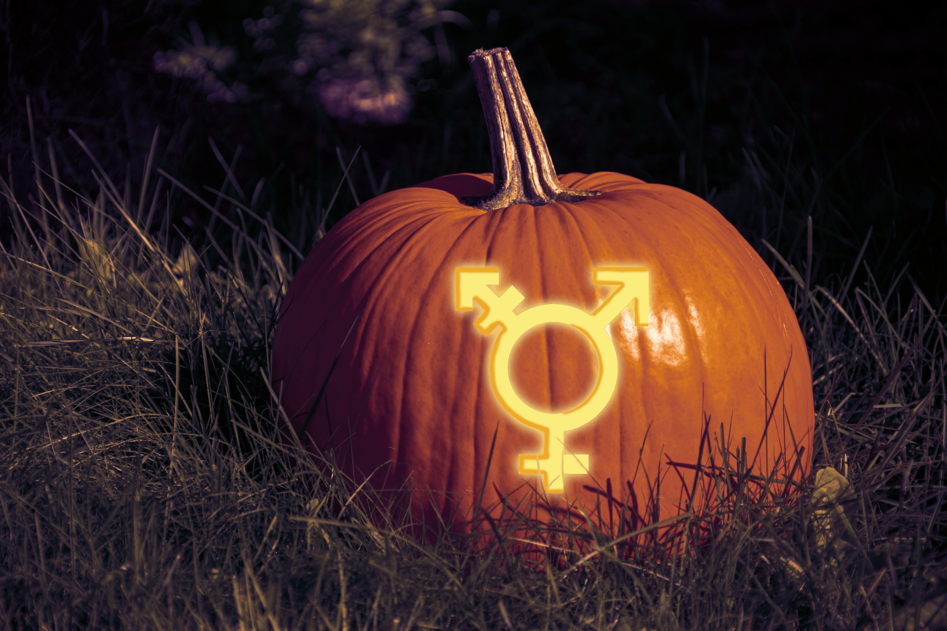 PumpkinColor