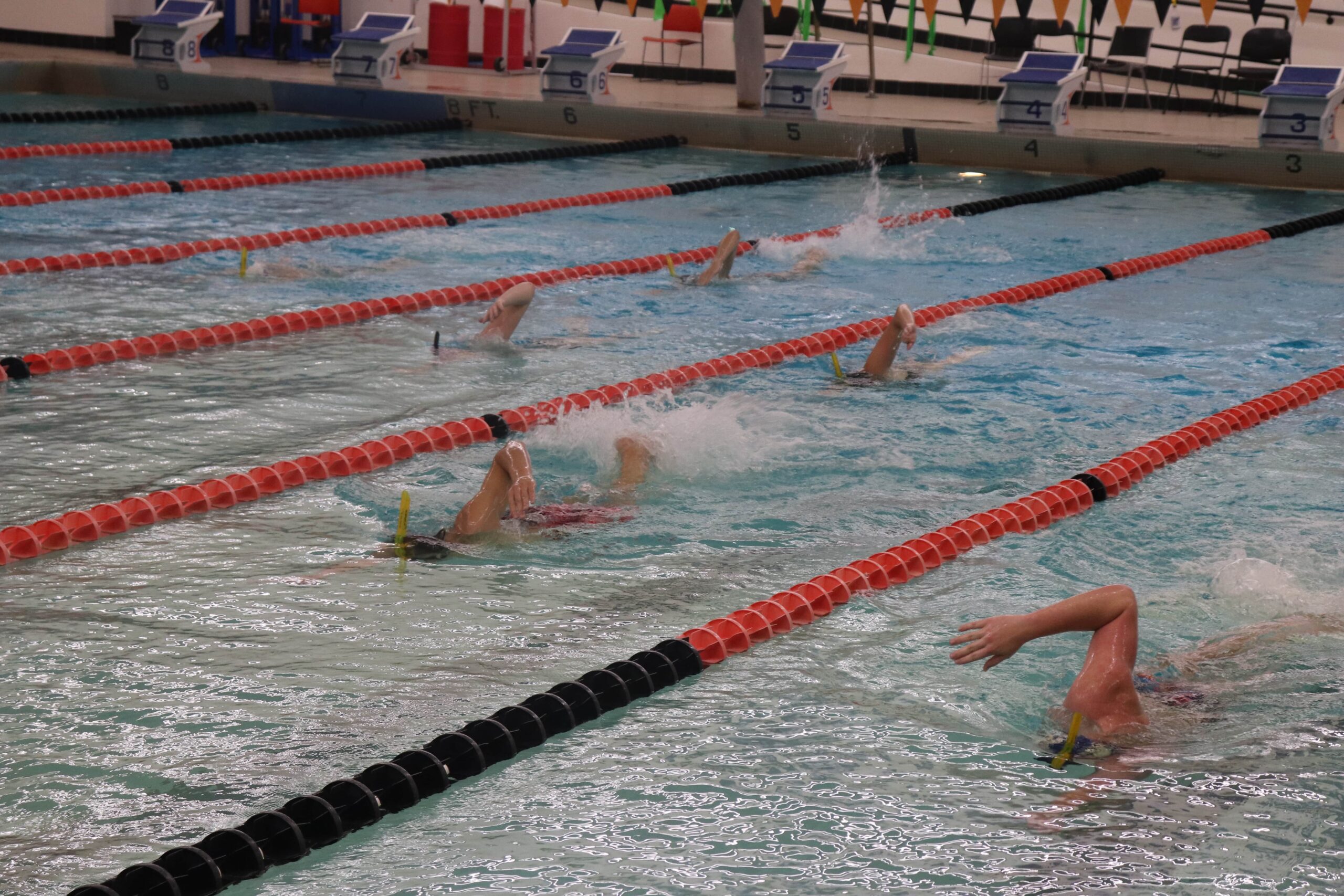 Photo of swimmers in pool