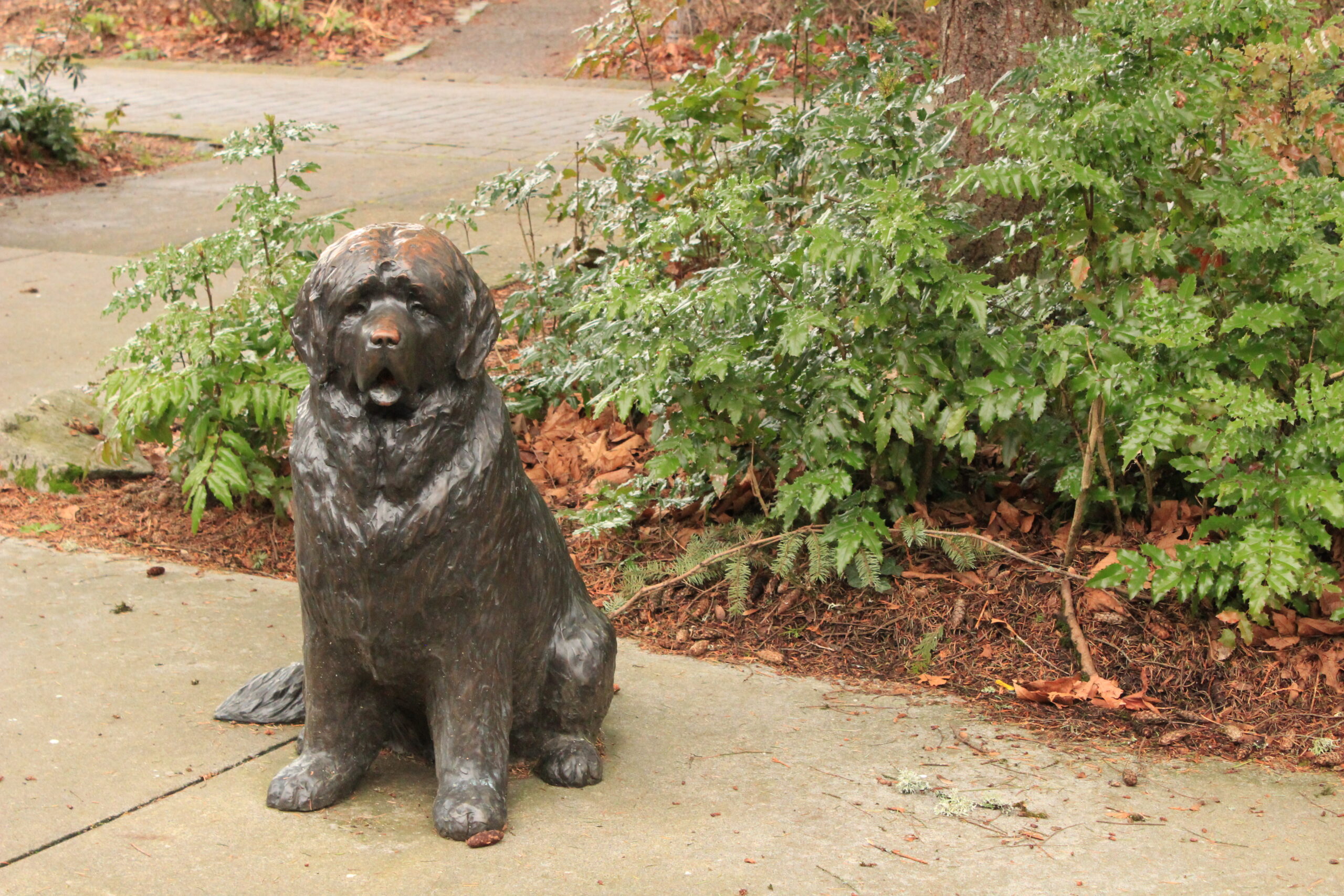 Picture of Newfoundland statue