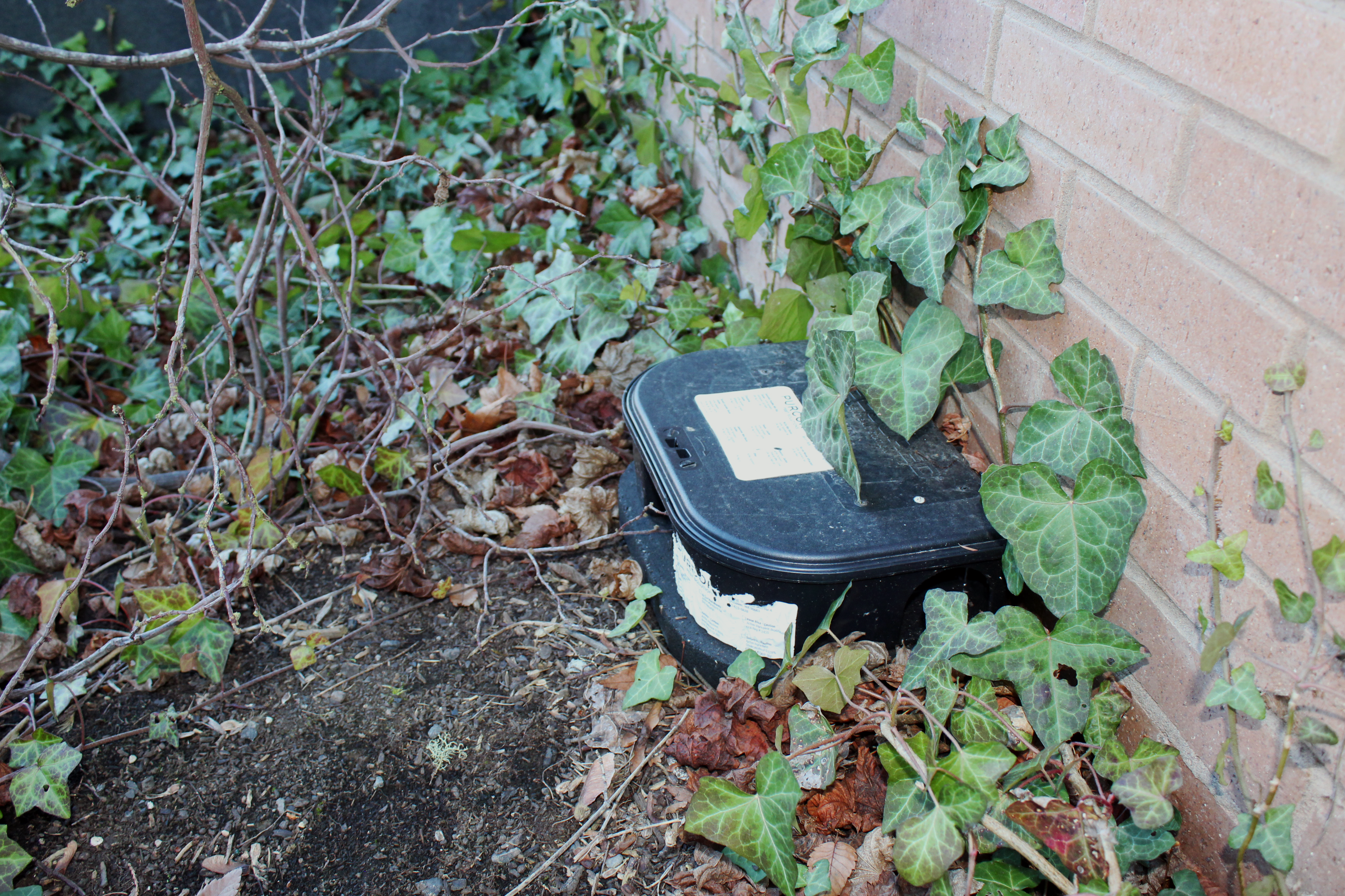 A photo of the black rodent trap behind Bodine