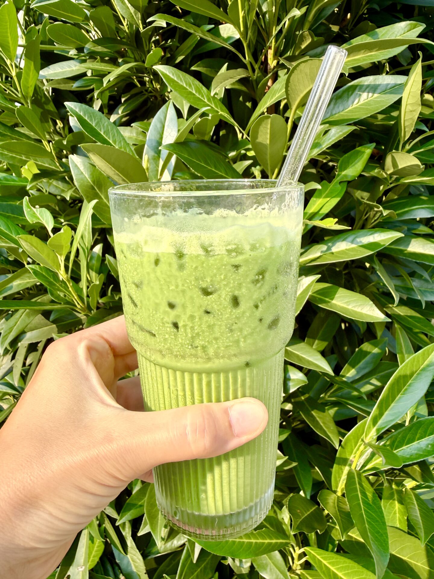 Easy Iced Matcha Latte Recipe (Better Than Starbucks!)