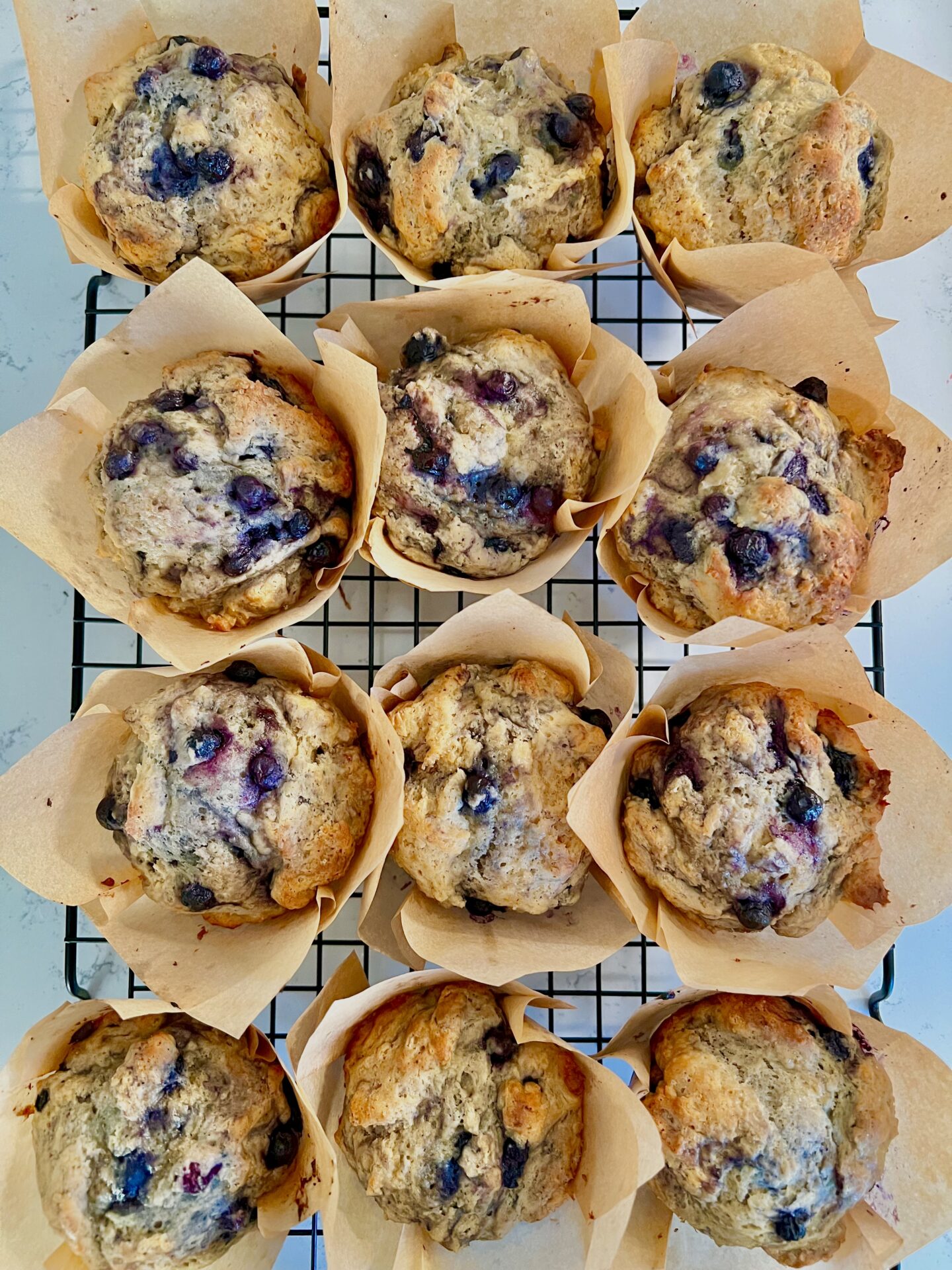 Bakery Style High Protein Blueberry Muffins