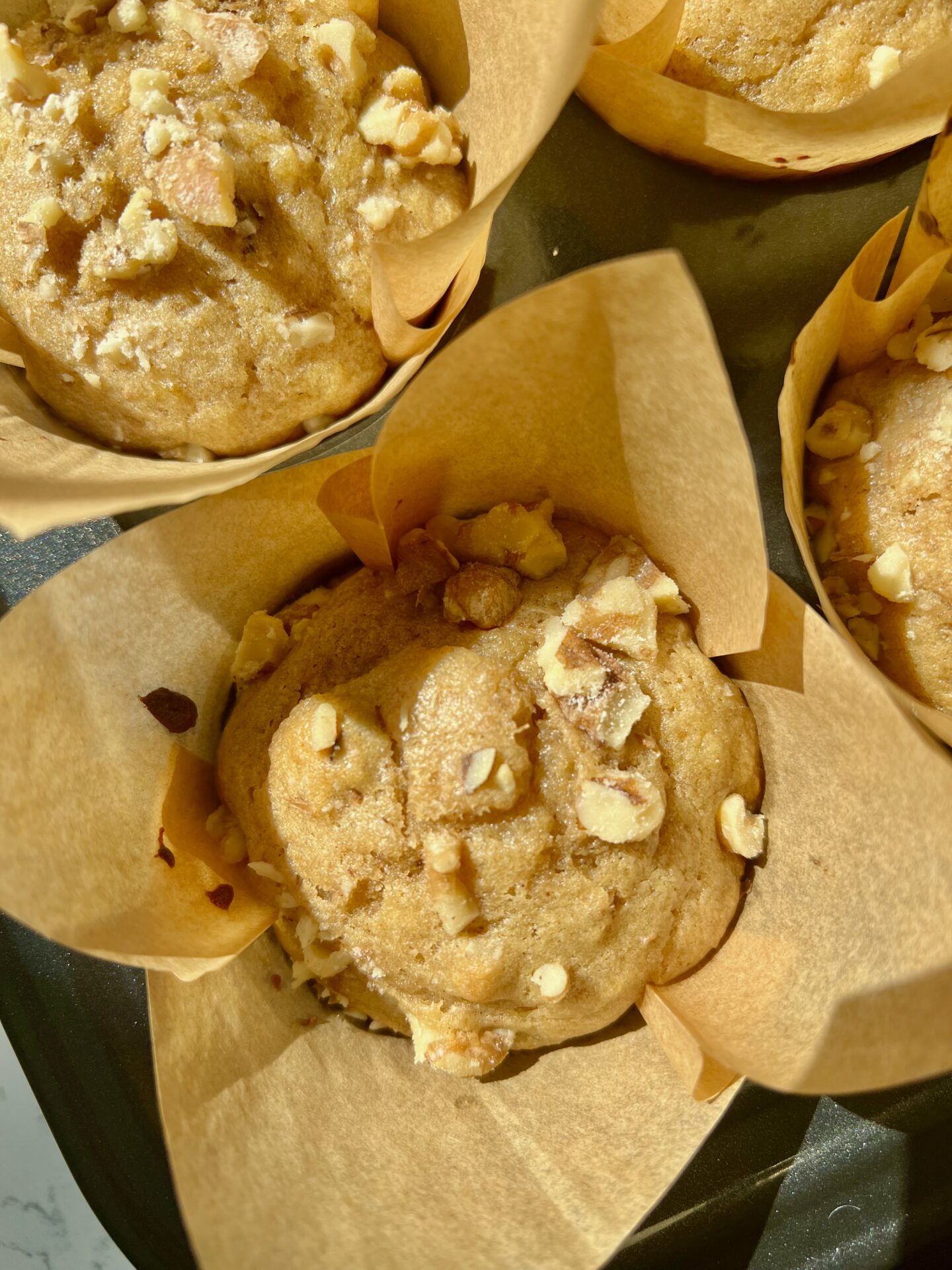 Bakery Style High-Protein Banana Nut Muffins