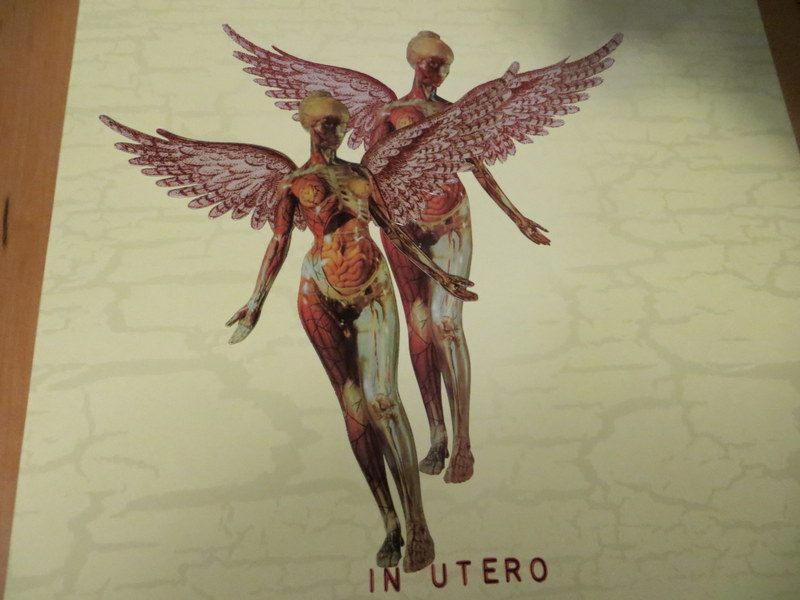 Nirvana Album Cover In Utero : Vinyl/CD Review: Nirvana - In Utero Anniversary Editions ...