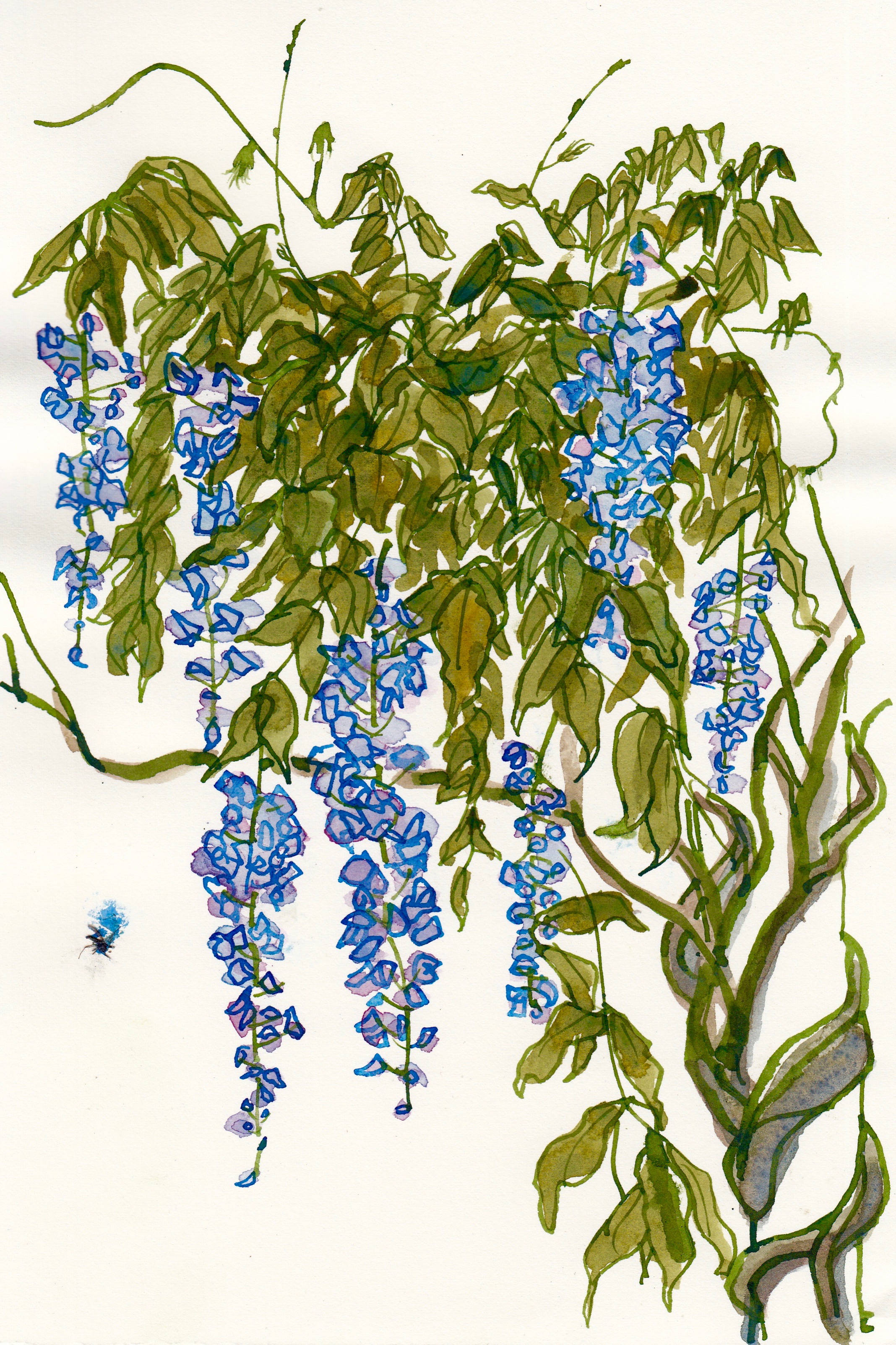 arnos vale_0002 (37)