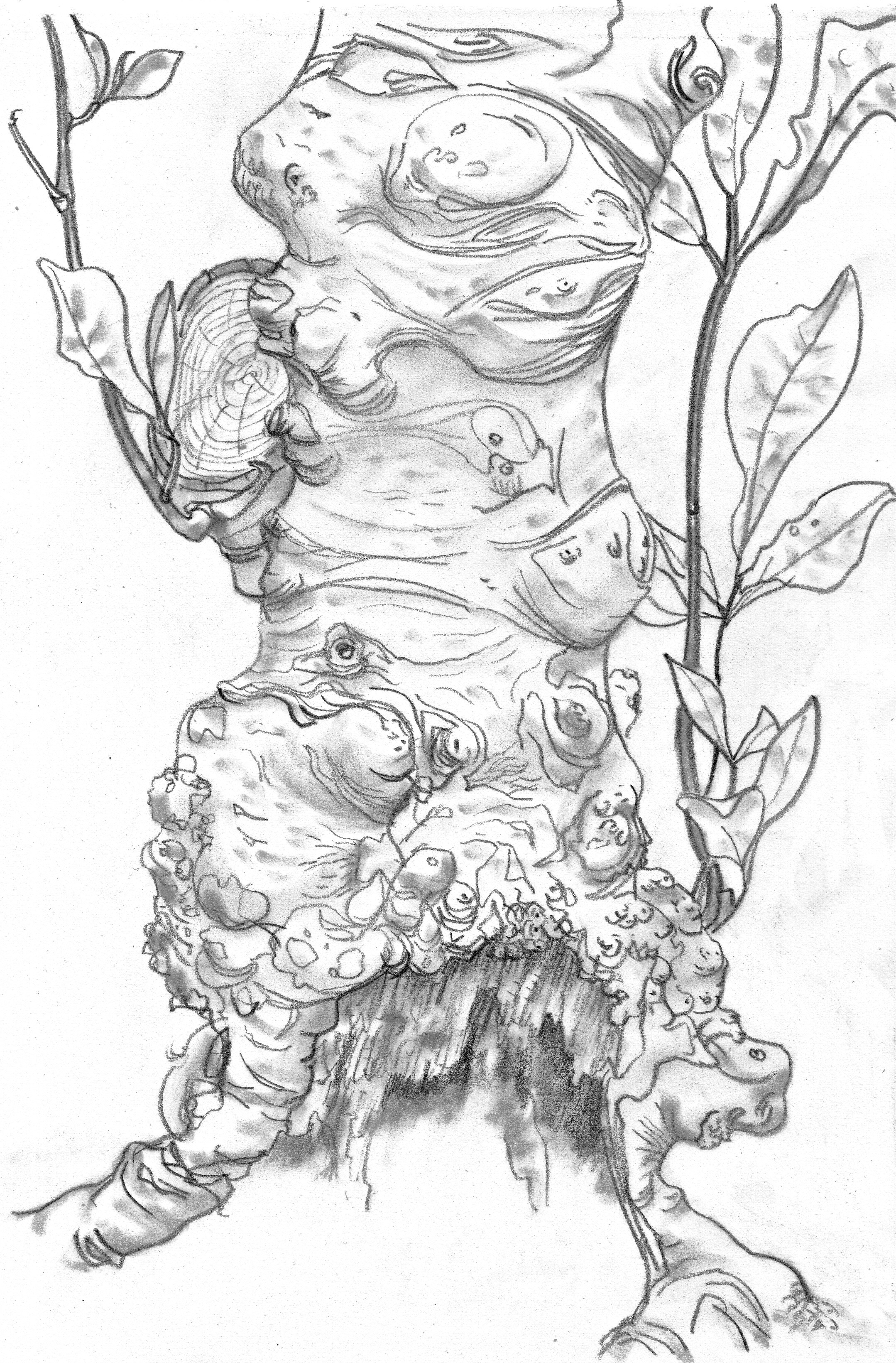 arnos vale_0002 (40)