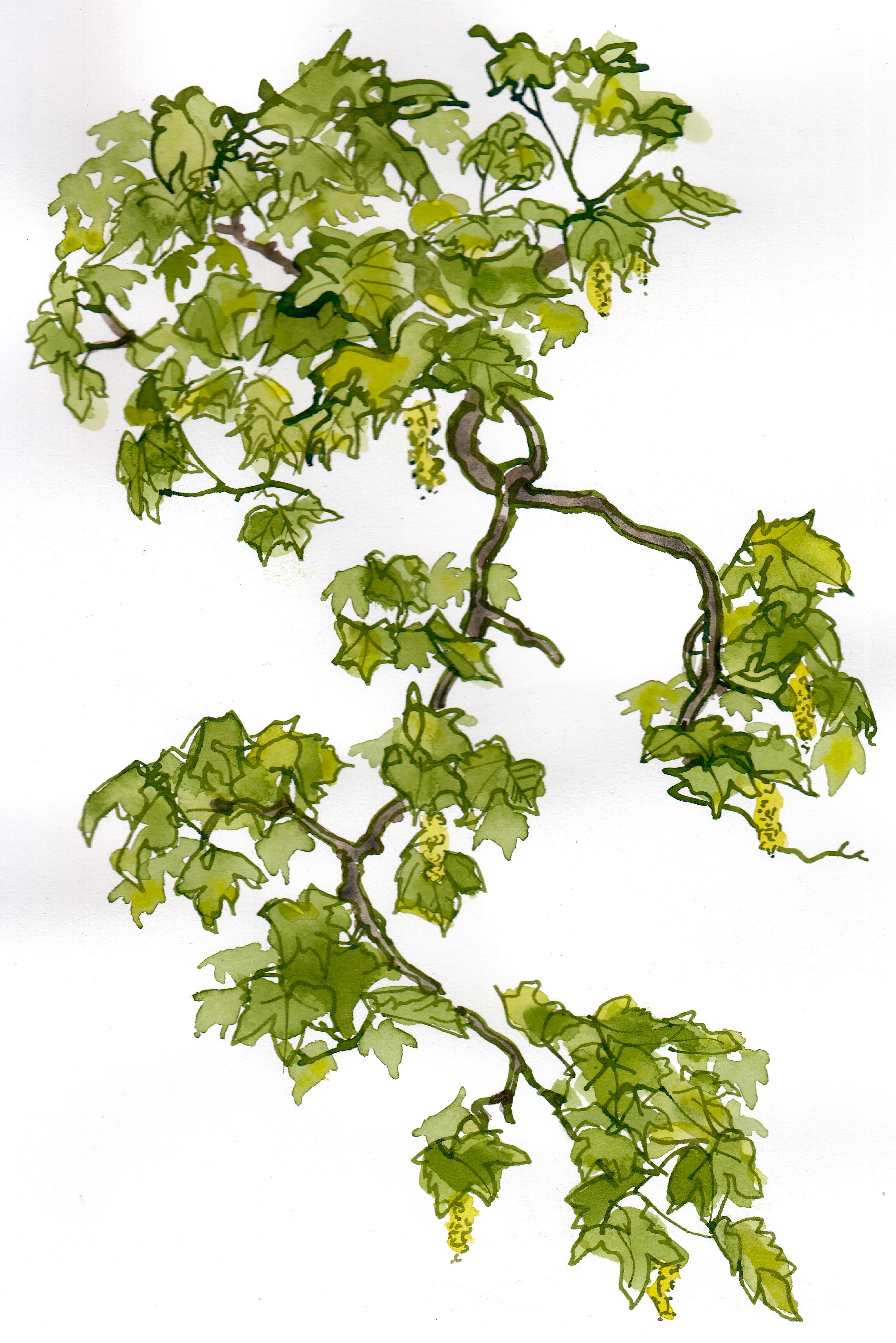 arnos vale_0004 (25)