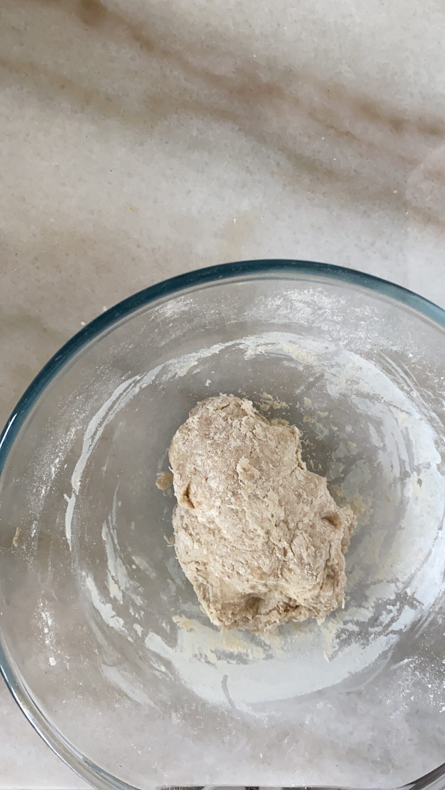 Sourdough Woolbread Step 1