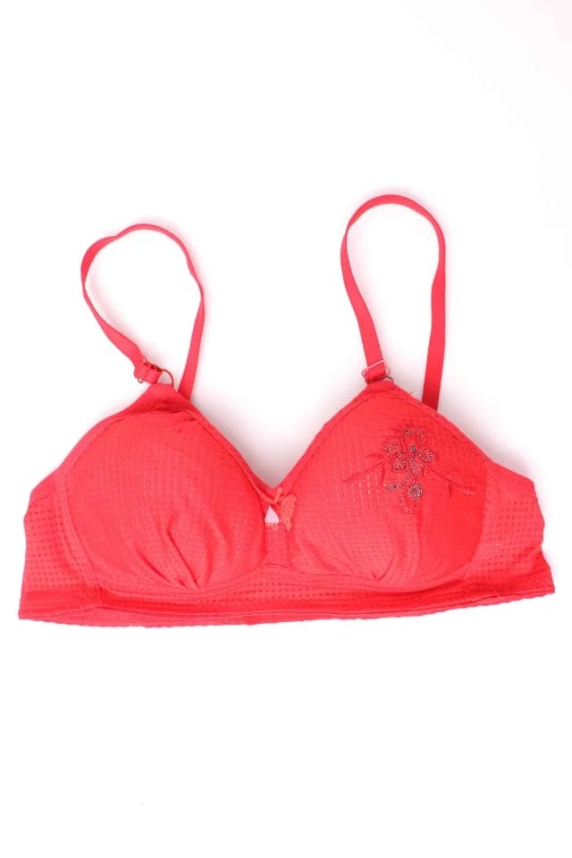 Women's Fashion Undergarments | Soft-padded polyester Nylon Wired Stretchable and breathable Bra | Push up bra