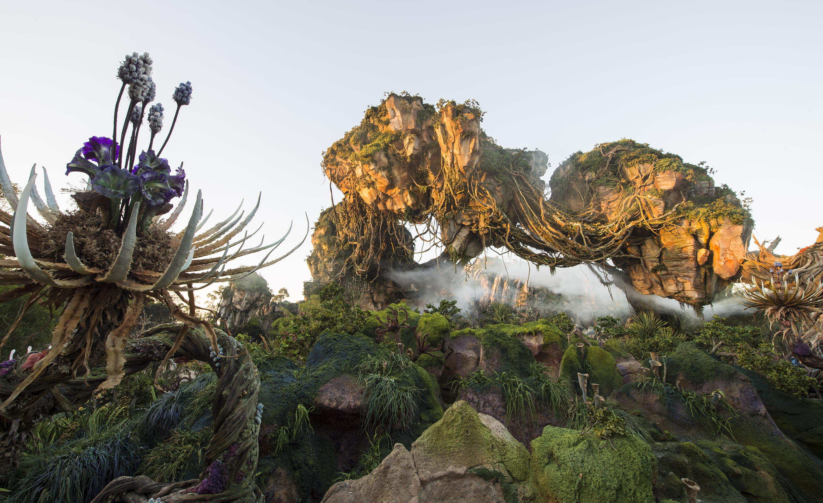 5 Reasons Why Even The Non-Avatar Fan Should Be Excited To Visit Pandora