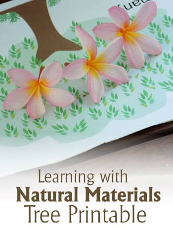 tree printable learning with natural materials from your backyard
