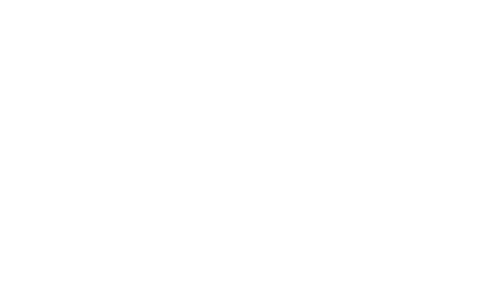 Fastpass Logo