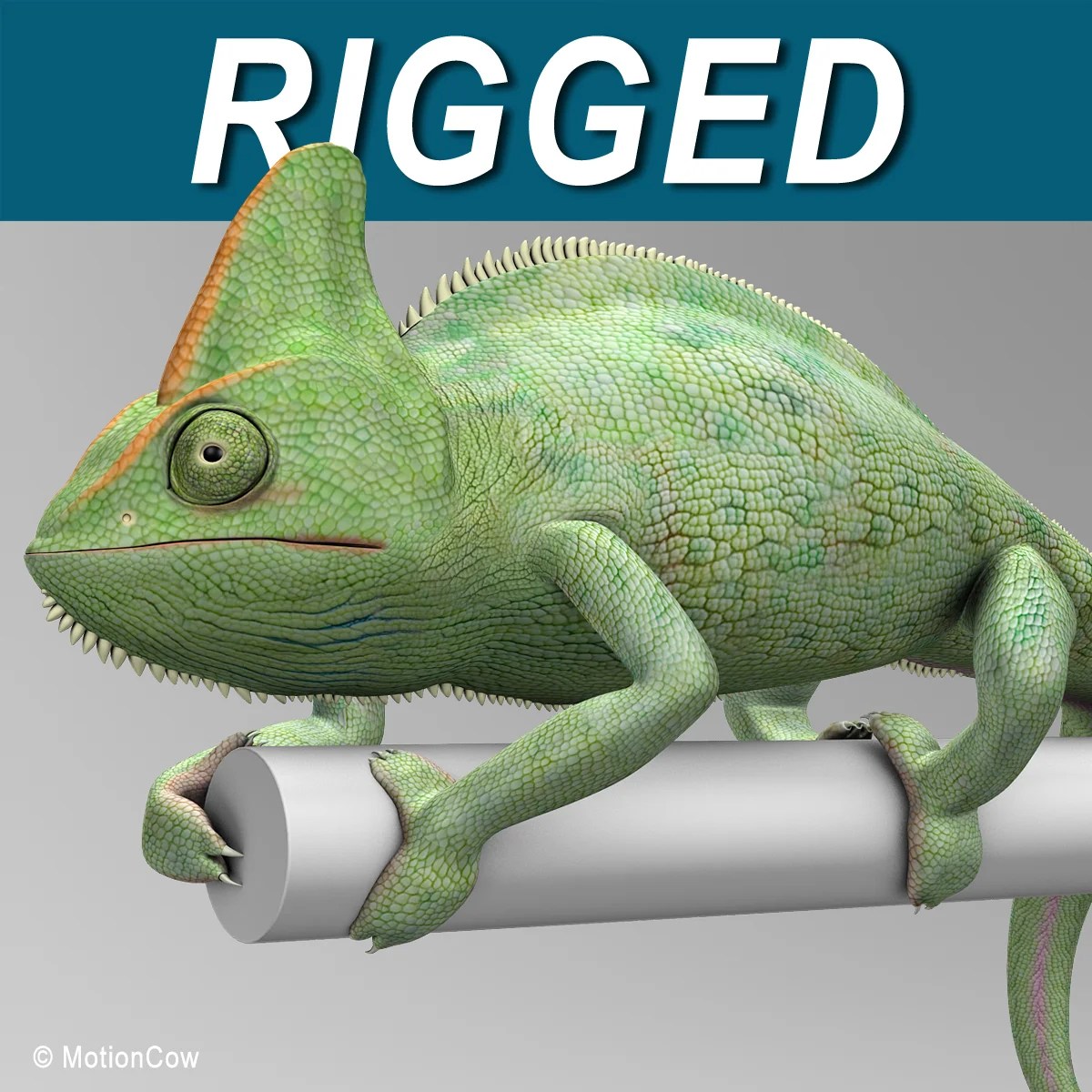 Chameleon_Green_A.jpg?fit=1030