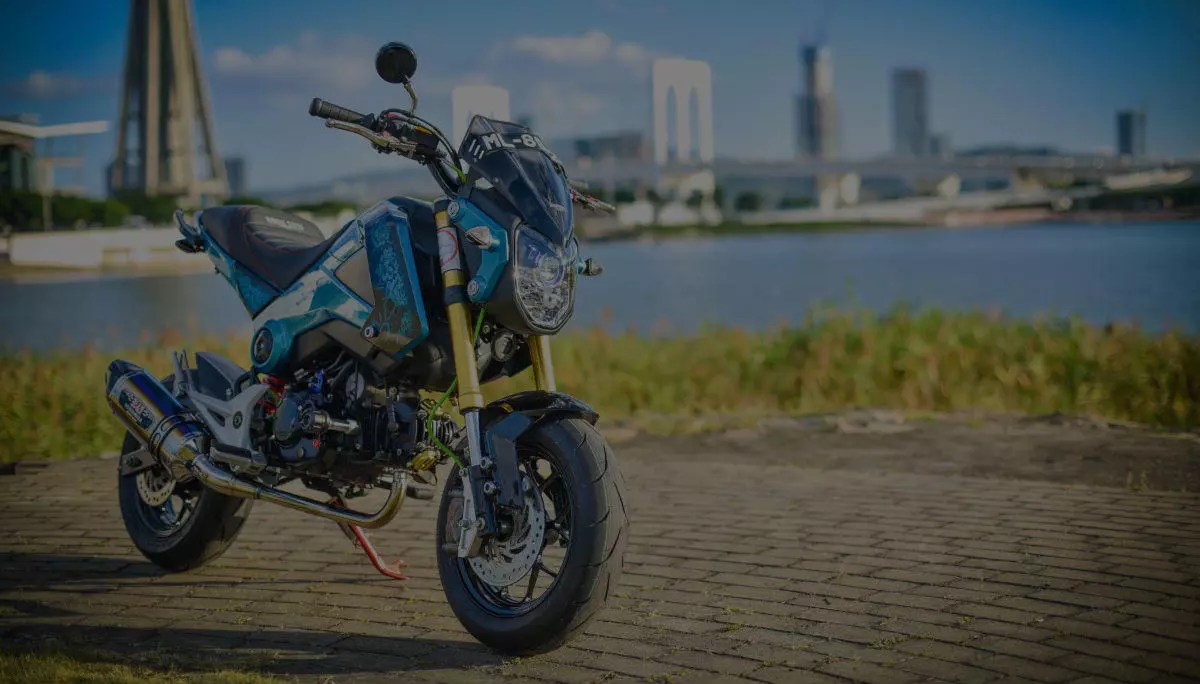 HONDA GROM 1_1