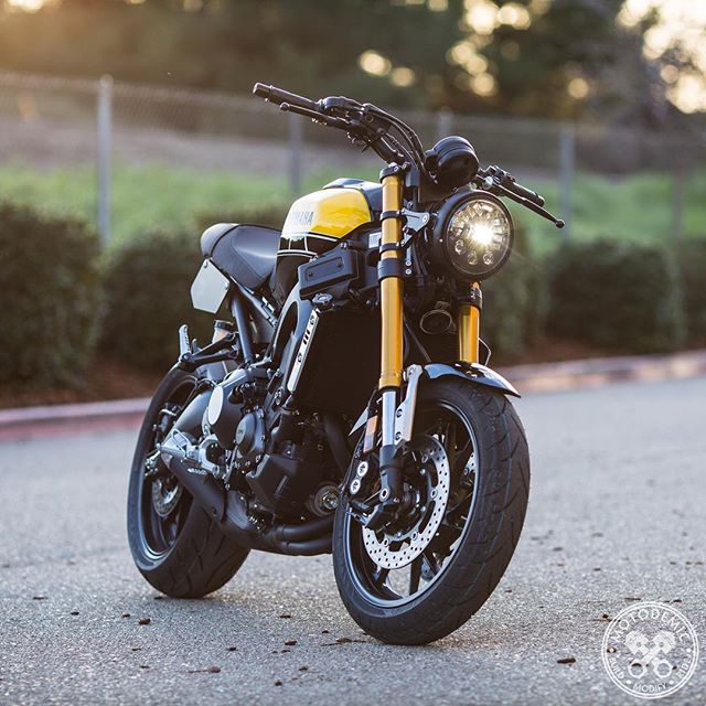 xsr900 • MOTODEMIC