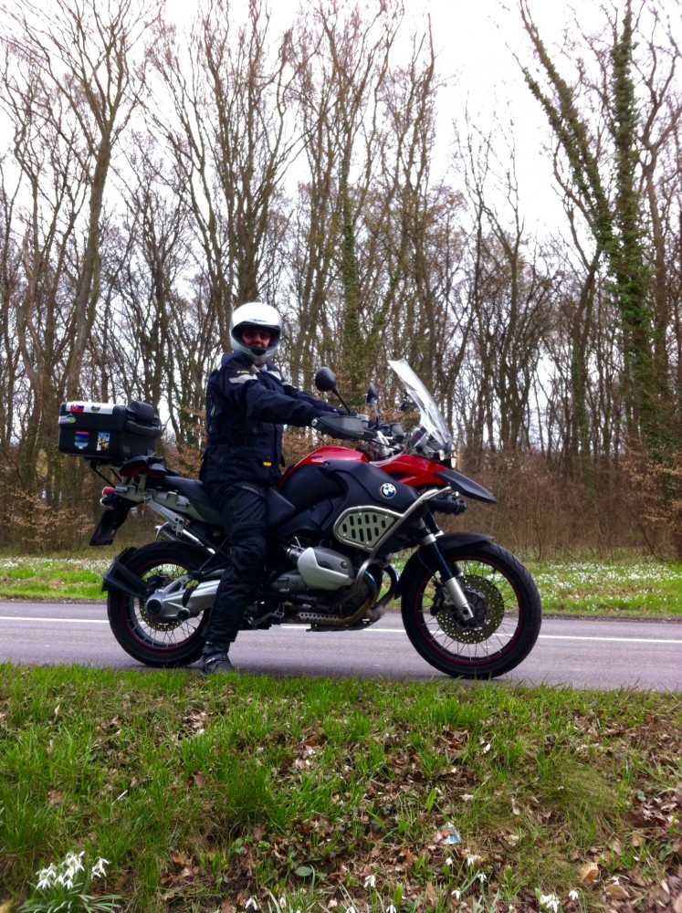 Schneeglöckerl auf der Wiese hinten