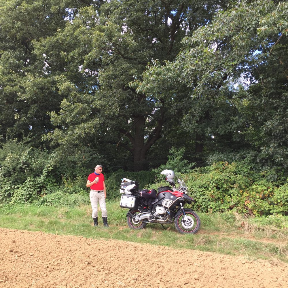 Irgendwo bei den Brombeeren