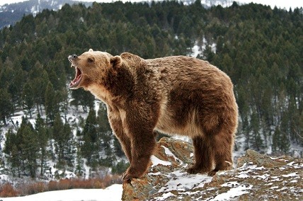 Here's Why The Stock Market May Fall By As Much As 5%