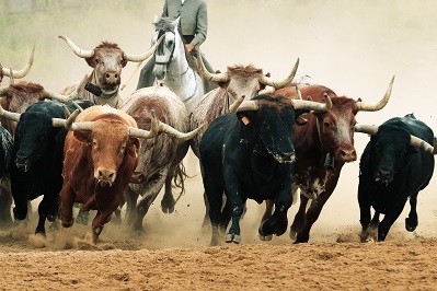Stocks Are To Set To Make A New All-Time High on October 28