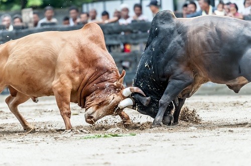 A Bottom for Stocks May Be Closer Than You Think