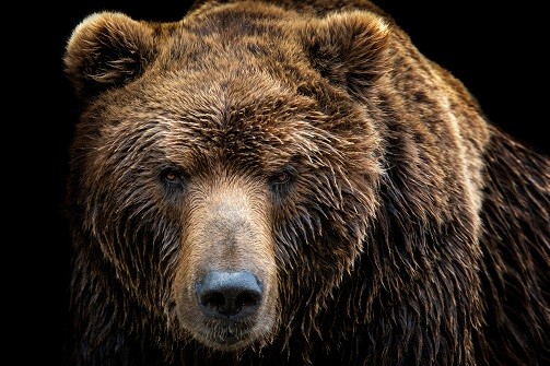 7 MONSTER STOCK MARKET PREDICTIONS FOR THE WEEK OF OCTOBER 5