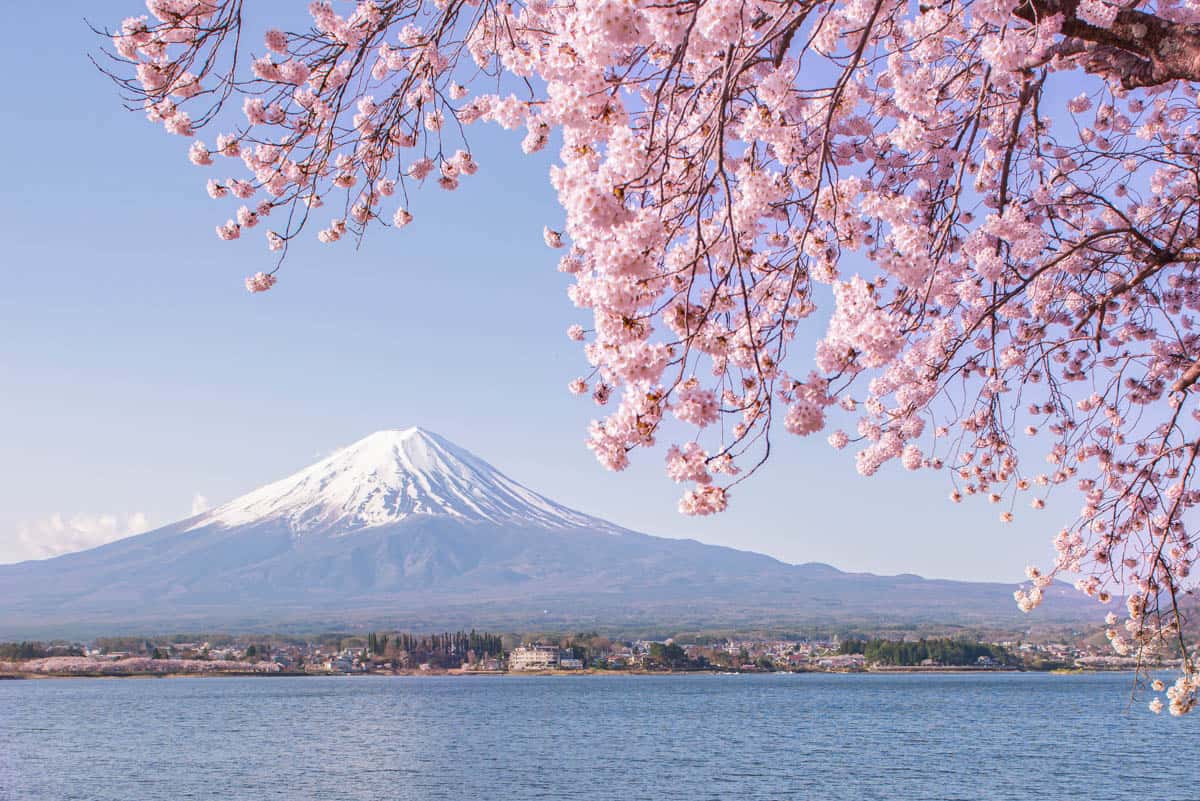Mount Fuji Itinerary 2026 Smart 1 Day 2 Day Plans From Tokyo Mount Mount Fuji 