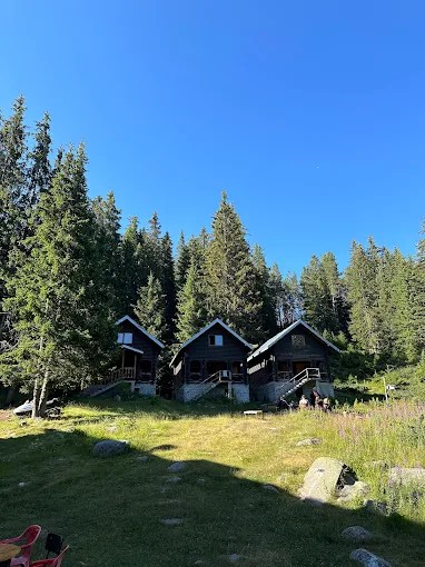 Dark timber cabins on a grassy clearing among conifers under a blue sky