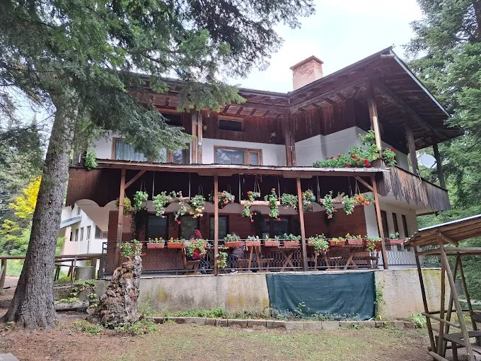 Gurgulica hut